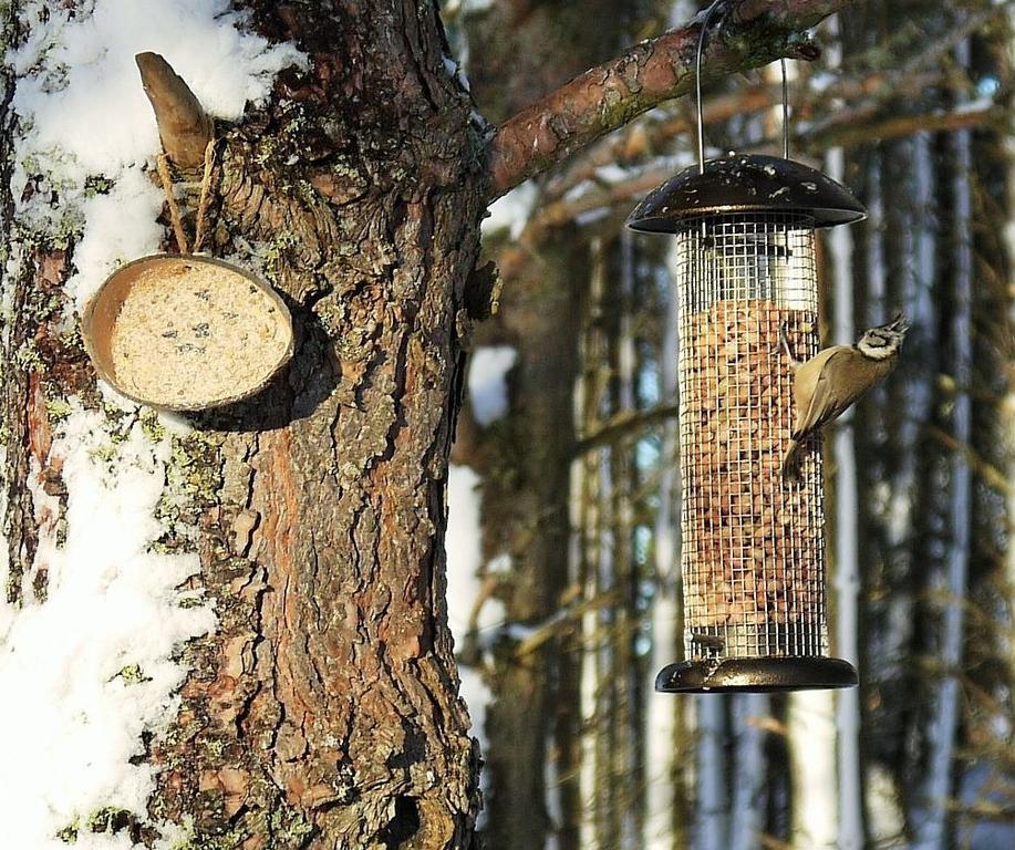Grantown-on-Spey Dava School House B&B 외부 사진