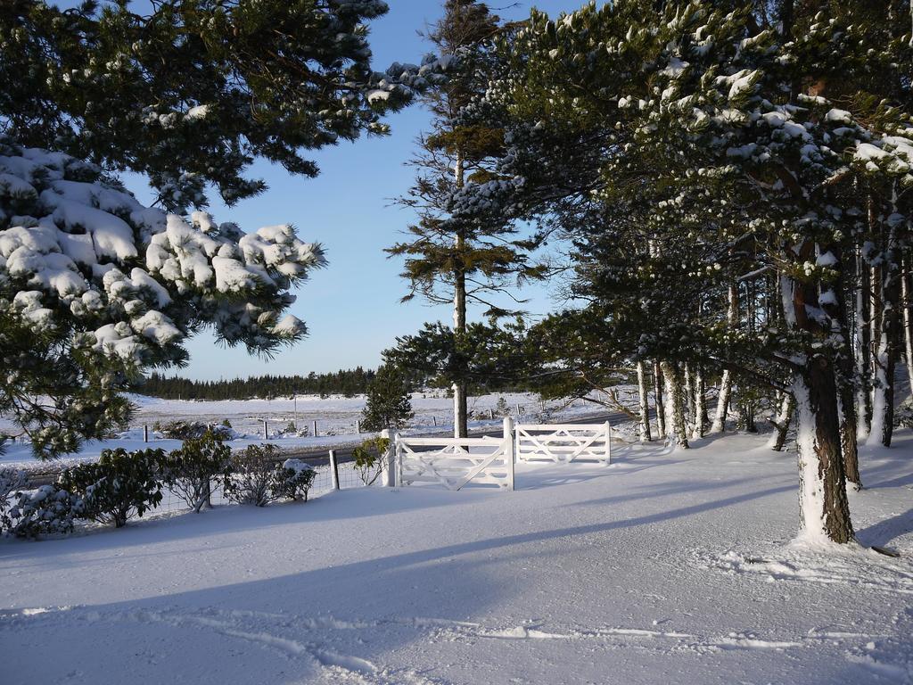Grantown-on-Spey Dava School House B&B 외부 사진