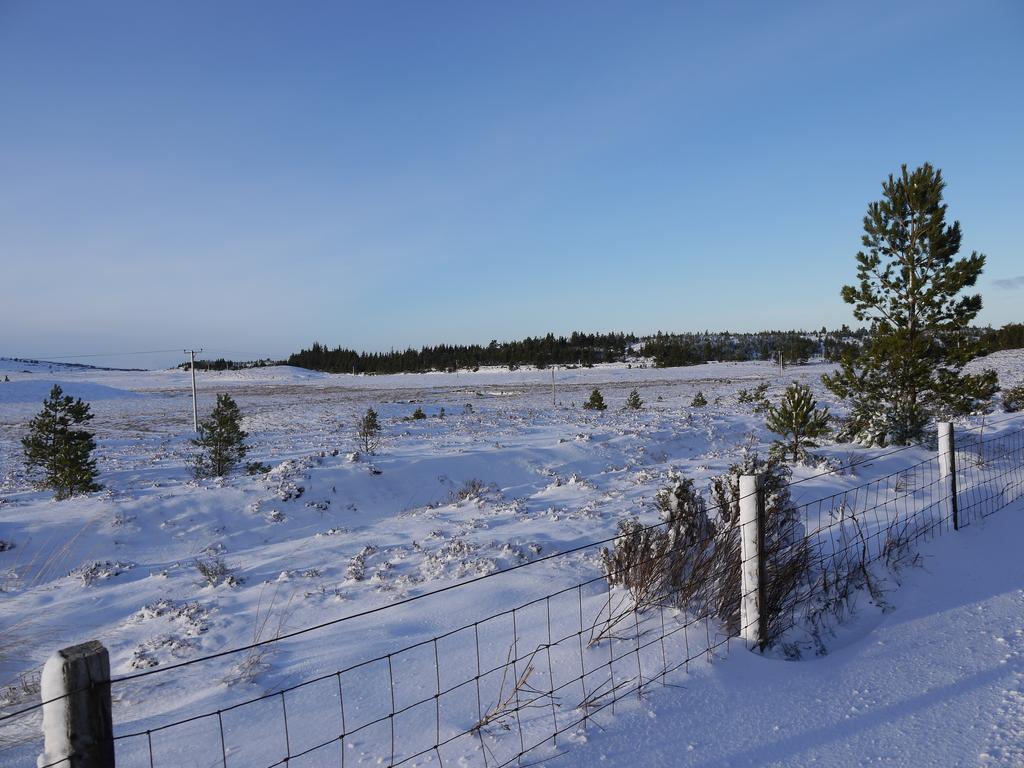 Grantown-on-Spey Dava School House B&B 외부 사진