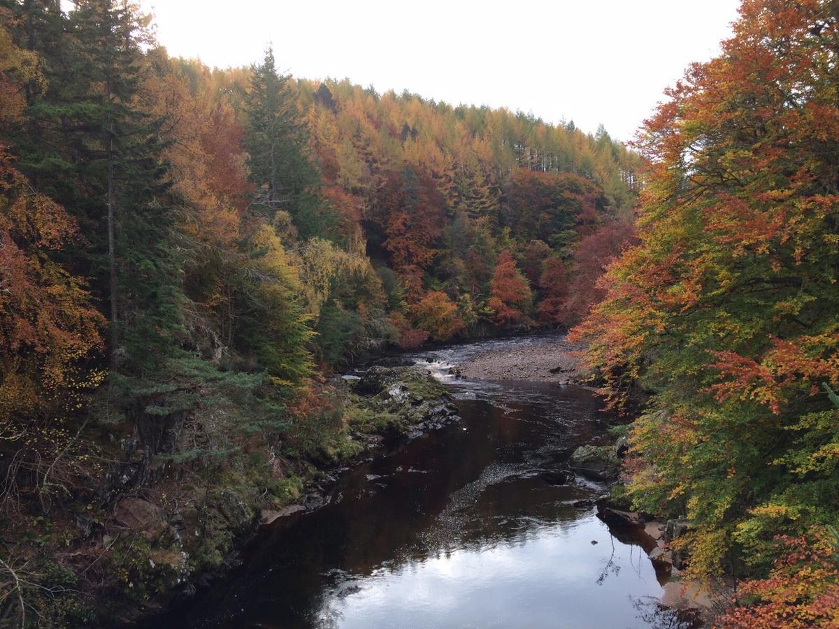 Grantown-on-Spey Dava School House B&B 외부 사진