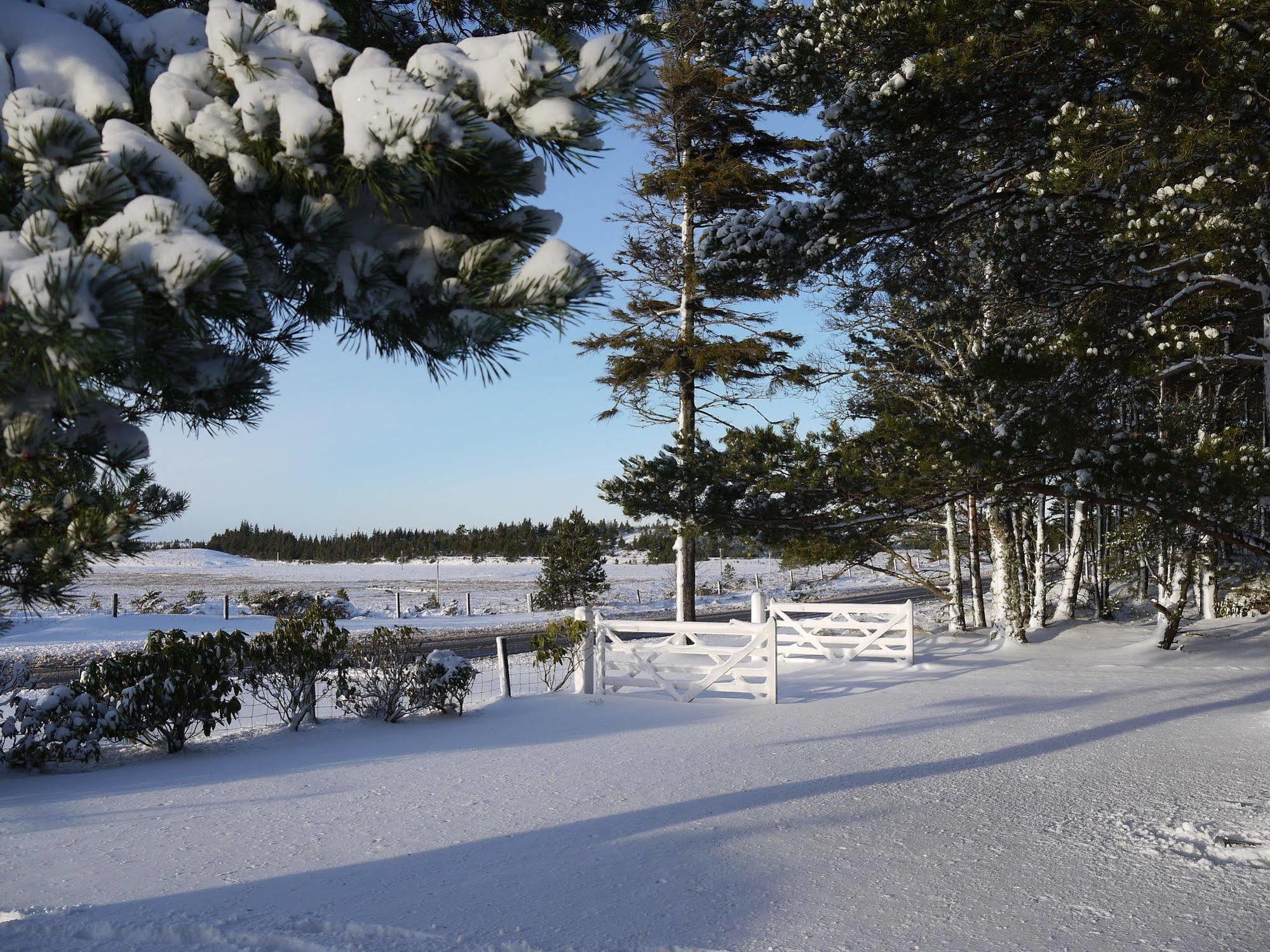 Grantown-on-Spey Dava School House B&B 외부 사진